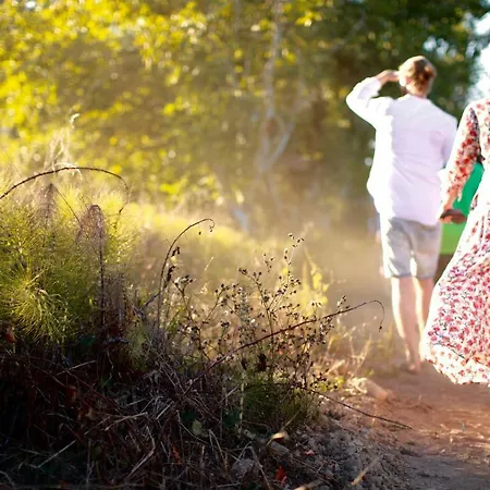 Quinta D'anta- Rural 3* Maiorca