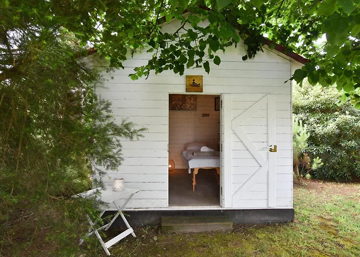 Quinta D'anta- Rural 3*