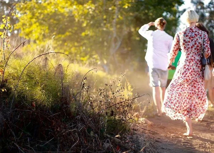 Quinta D'anta- Rural 3* مايوركا